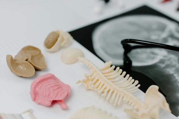 Épisiotomie : Quand est-ce réellement nécessaire?